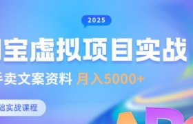 淘宝虚拟项目垂直玩法，新手卖文案资料，月入5k+