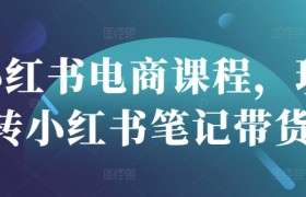 小红书电商课程，玩转小红书笔记带货