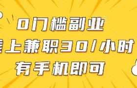 0门槛副业，线上兼职30一小时，有手机即可【揭秘】