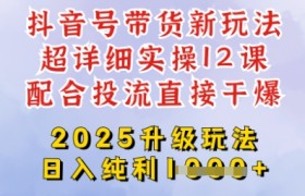 2025全新升级抖音带货玩法，一天纯利四位数，从剪辑到选品再到发布投流，超详细玩法揭秘