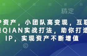 个人IP资产，小团队高变现，互联网全链路赚QIAN实战打法，助你打造个人IP，实现资产不断增值