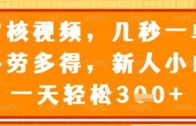 审核视频，几秒一单，多劳多得，新人小白一天轻松3张【揭秘】