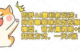 即梦AI暴利新玩法：全网首曝猫咪做饭视频躺Z模型，官方漏洞期+多种变现方式，一天5张