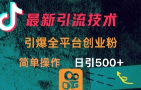 最新引流方法，引爆全平台的一个创业粉，简单操作日引300+