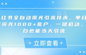 小红书全自动曝光引流技术，单日精准曝光1000+客户，一键启动，小白也能当天引流【揭秘】