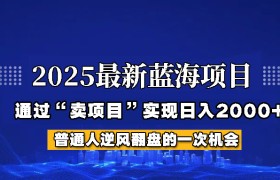2025年蓝海项目，如何通过“网创项目”日入2000+