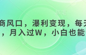 女杏商风口，瀑利变现，每天1小时，月入过W，小白也能做