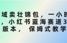 私域卖壮锦包，一小时3张，小红书蓝海赛道3.0版本， 保姆式教学