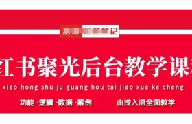 小红书聚光后台教学，小红书聚光投放的基本原理、策略和实践操作
