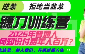 【网创项目终点站-镰刀训练营超级IP合伙人】25年普通人如何通过知识付费实现逆袭【揭秘】
