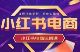 小红书电商运营实操课，​新手从0~1落地实操