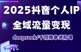 2025抖音个人IP全域流量变现进阶课，deepseek千川爆单进阶课