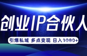 云帆·创业ip合伙人打造3.0，从0到1教你做网创，实现月入过W
