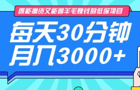 既能撸货又能赚钱的长期低保项目，每天30分钟，多号百分百稳定月入3000+！