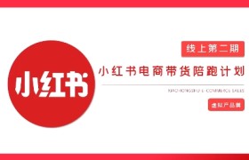 2025小红书虚拟电商实战课，从0到1打造无货源店铺，AI+爆款笔记轻松变现