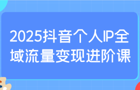 2025抖音个人IP全域流量变现进阶课：选爆品、抖音付费投流、千川投流实操及优化等