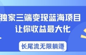 独家三端变现蓝海项目，让你收益最大化，长尾流无限躺挣