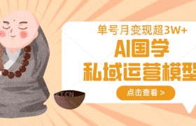 AI国学私域运营模型，无成本、变现快、周期短、持续性强，单号月变现3w+
