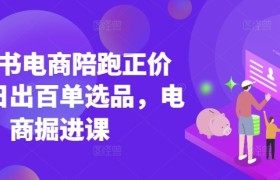 小红书电商陪跑正价课，小红书官方认证电商讲师教学，日出百单选品，电商掘进课