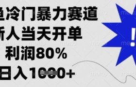 闲鱼冷门暴力赛道，新人当天开单，利润80%，日入数张【揭秘】