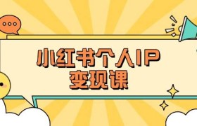 小红书个人变现课：精准人设定位+爆款选题拆解，教你打造百万流量账号秘籍
