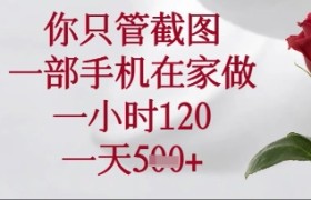 你只管截图，一部手机在家操作，一小时120.一天5张【揭秘】