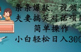 条条爆款，视频号夫妻搞笑对话项目，简单操作，小白轻松日入3张+