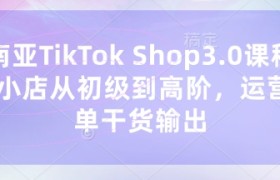 东南亚TikTok Shop3.0课程，TK小店​从初级到高阶，运营出单干货输出