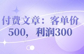 付费文章：客单价500，利润300