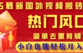2025最新视频搬砖项目，热门风口，简单去重剪辑，小白也能轻松月入过W