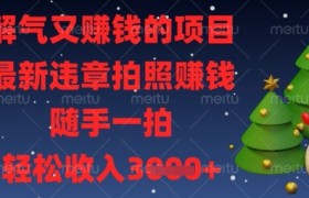 解气又挣钱的项目，最新违章拍照挣钱，随手一拍，轻松收入数张【揭秘】