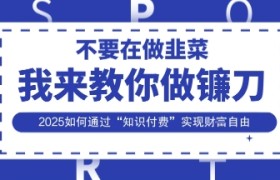 韭菜生涯终结者，我来教你做镰刀，2025如何通过“知识付费”实现财F自由【揭秘】