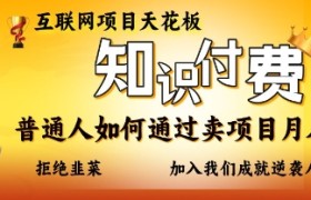 互联网项目天花板，知付付费项目，普通人如何通过卖项目月入十个，拒绝韭菜【揭秘】