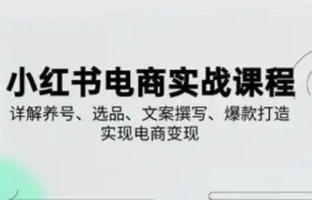 小红书从0-1实操课(2023-2025)，详解养号、选品、文案撰写、爆款打造实现电商变现
