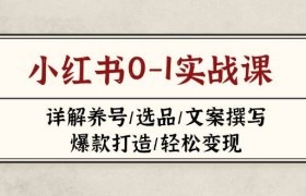 小红书0-1实战课(2023-2025)，详解养号/选品/文案撰写/爆款打造/轻松变现