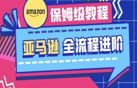 亚马逊保姆级全流程实操教程-跨境电商教程