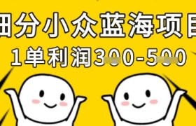 细分小众蓝海项目，一单利润3张，每月收入稳定过1w+