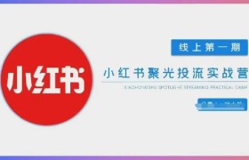 小红书聚光陪跑第一期，教你从0到1玩转小红书聚光投流，搭建小红书付费投流团队，更快的见到效果