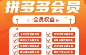 2025拼多多运营实战课，40节全流程教学，覆盖拼多多运营全链路