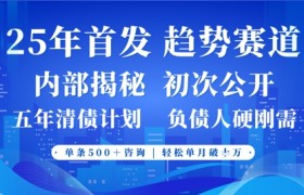 2025年首次公开，真正的事业型赛道，客咨不断，单月轻松破W