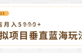 虚拟项目垂直玩法，实现单店月入5k+