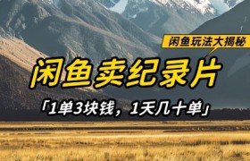 闲鱼卖纪录片1单3块钱，1天几十单，项目稳定有潜力