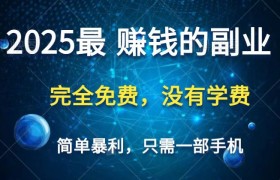 2025最简单最暴利项目，一部手机，日入过万，普通人翻身的唯一机会(没有学费)