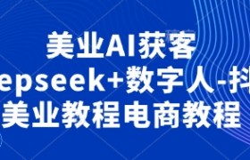 美业AI获客Deepseek+数字人-抖音美业教程电商教程