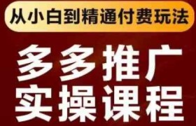 拼多多推广实操课程，从小白到精通付费玩法