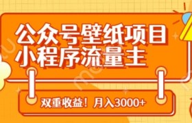 公众号壁纸项目，小程序流量主双收益，月入3000+