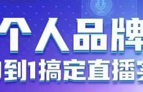 个人品牌：从0到1搞定直播实操，用直播为你的个人品牌赋能，六大实操板块，放大个人影响力