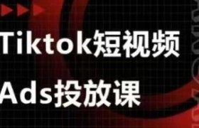 Ads视频投放课，tiktok短视频广告投放课