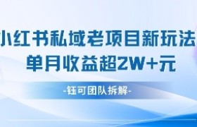 小红书私域项目新玩法，单月变现过W+