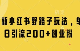 最新小红书野路子玩法，单日引流200+创业粉